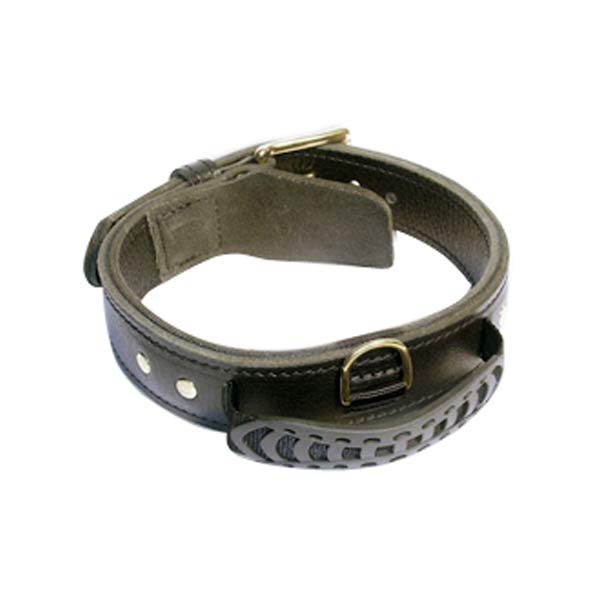 Dog Collars