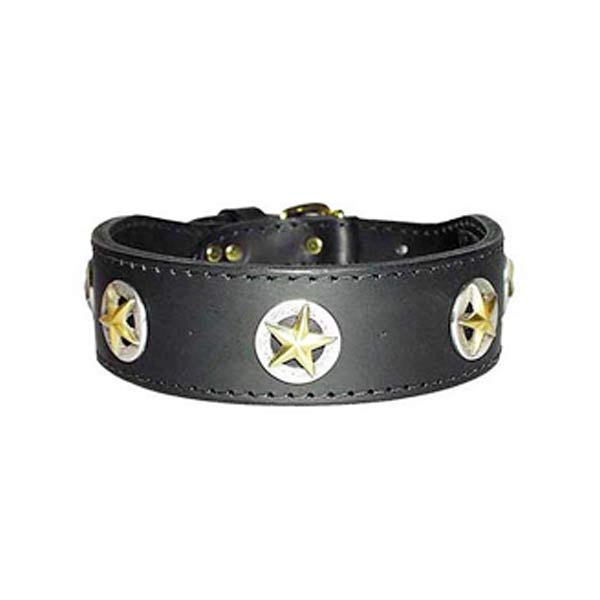 Dog Collars
