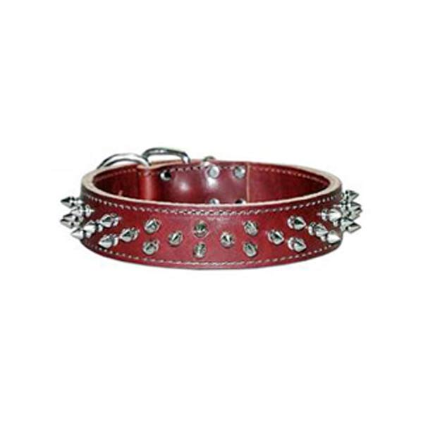 Dog Collars
