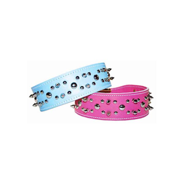 Dog Collars