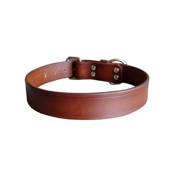Dog Collars