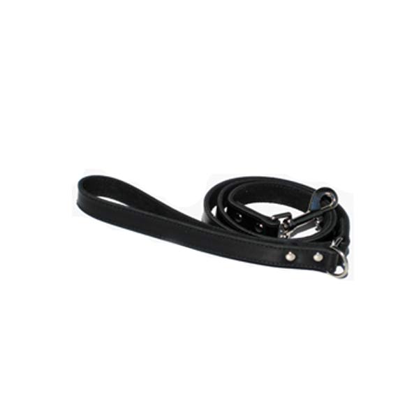 Dog Leads