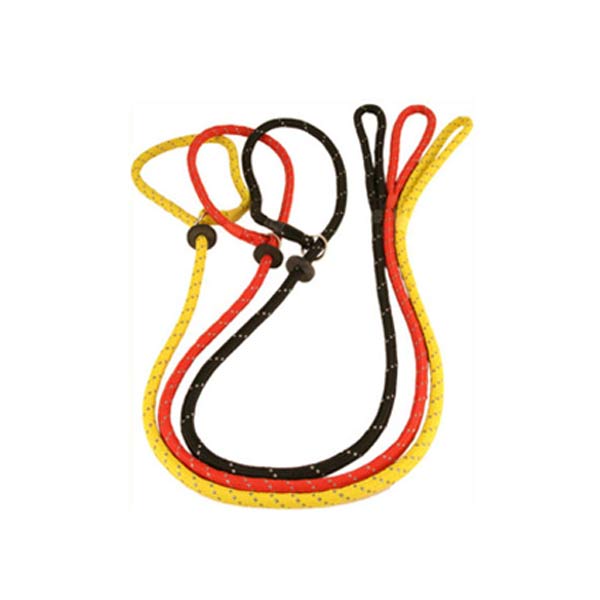 Dog Leads