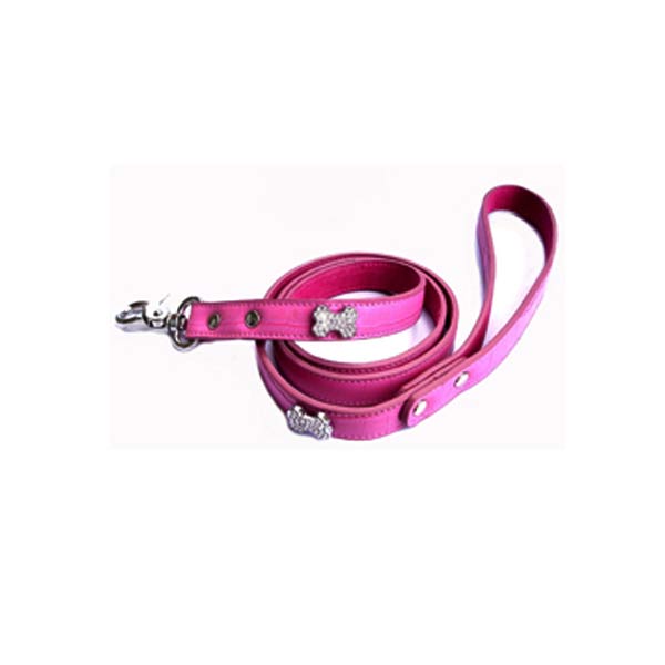 Dog Leads