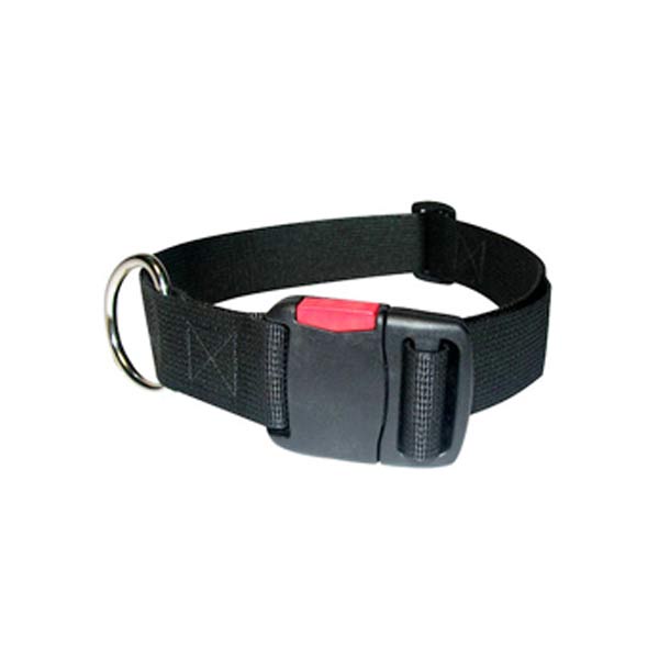 Dog Collars