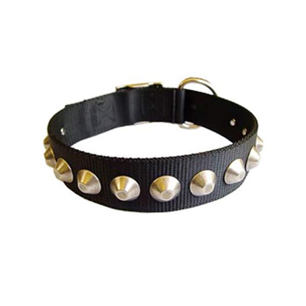 Dog Collars
