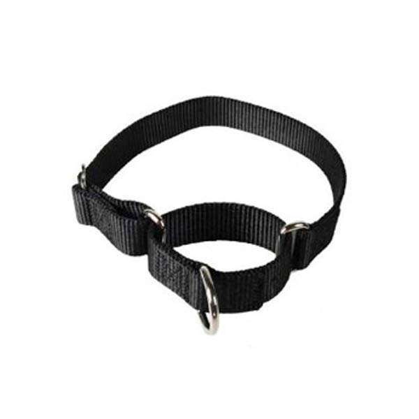 Dog Collars