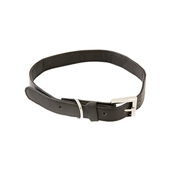 Dog Collars