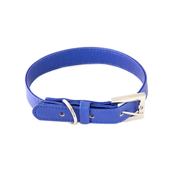 Dog Collars