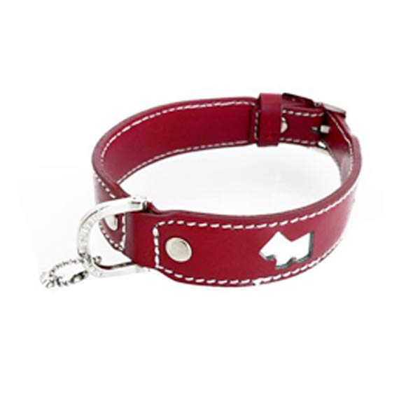 Dog Collars