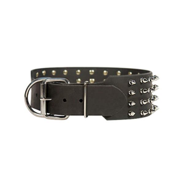 Dog Collars
