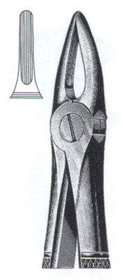 Upper Roots & Incisors