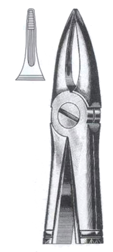 Upper Roots incisors