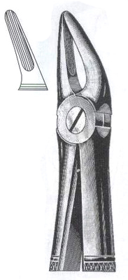 Upper Roots Incisors