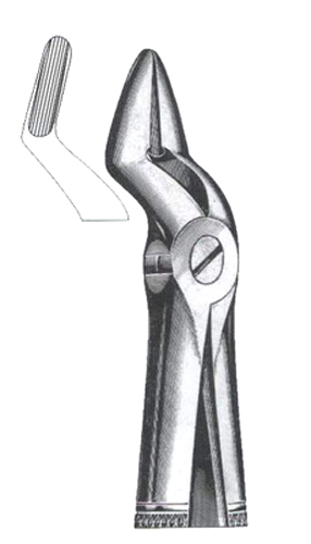 Upper Teeth & Reaection