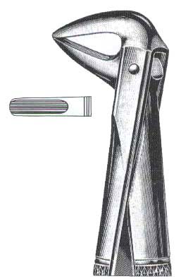 Lower Incioors & Roots