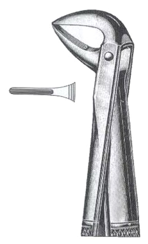 Lower Incioors & Roots