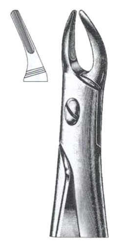 Upper-Roots-(Narrow Beak)