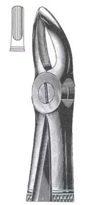 Upper Centrals & Roots