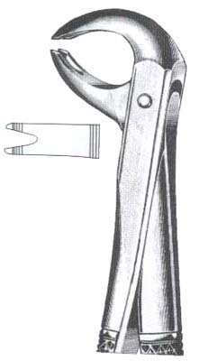 Universal Patter For Lower Teeth