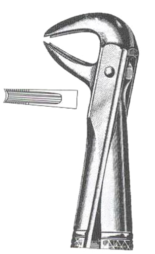 Lowewr Canines & Premolars