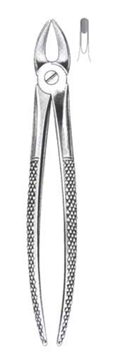 Childrens Upper Incisors Canines