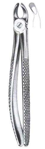 Childrens Upper Molars Universal