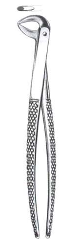 Childrens Lower Teeth Universal