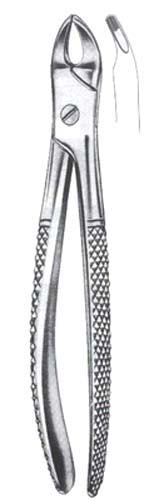 Childrens Upper Universal & Roots