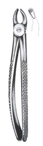 Childrens Upper Molars Universal