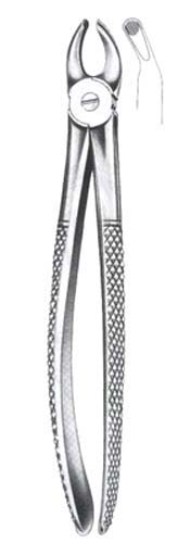 Childrens Upper Molars Universal