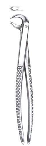 Childrens Lower Molars Universal(Hawk s Bill)