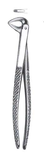 Childrens Upper Centrals