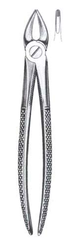 Childrens Upper Centrals