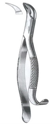 Lower molars children