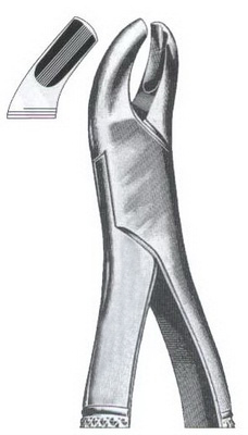 Upper molars left side