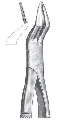 Tooth Extracting Forceps American Pattern