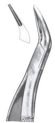Tooth Extracting Forceps American Pattern