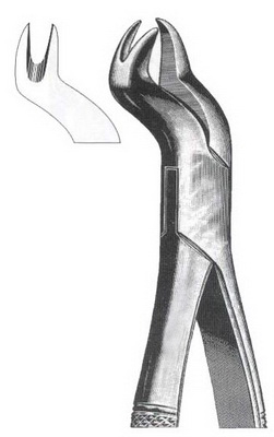 Tooth Extracting Forceps American Pattern