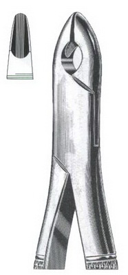 Tooth Extracting Forceps American Pattern