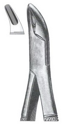 Tooth Extracting Forceps American Pattern
