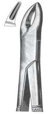 Tooth Extracting Forceps American Pattern