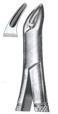 Tooth Extracting Forceps American Pattern
