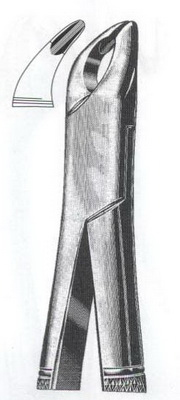 Lower premolars incisors & roots