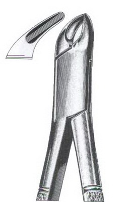 Lower premolars incisors & roots